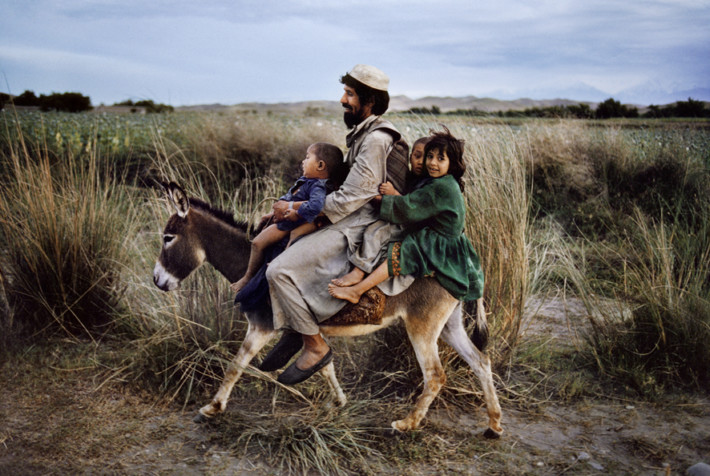 Risultati immagini per steve mc curry animals