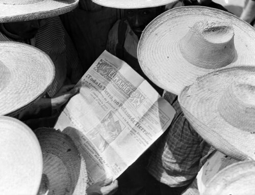 Prorogata fino al 10 aprile Tina Modotti: La Genesi di uno Sguardo Moderno