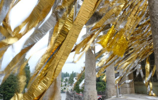 Contemporary Locus 17