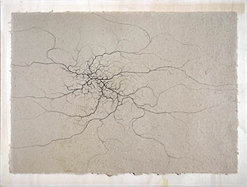 Rolando Deval. Grounds