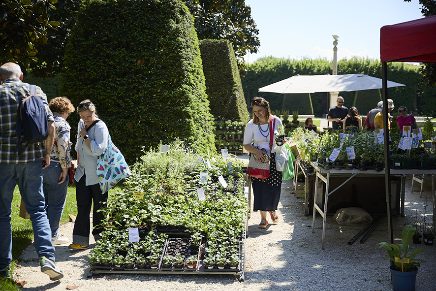 Officinalia XXXVII Mostra Mercato dell’Alimentazione biologica, biodinamica e dell’ecologia domestica